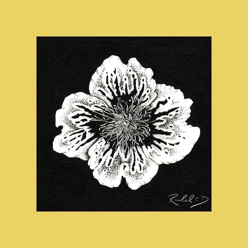 #100daysofart challenge! It's fun to mix it up with a dark background. Here is day 53 referenced from @vonfloraflowers
.
.
.
.
.
.
#flowers #florals #art #instaart #artofinstagram #ink #sketch #drawing #100daysofchallenge #100days #challenge #traditi