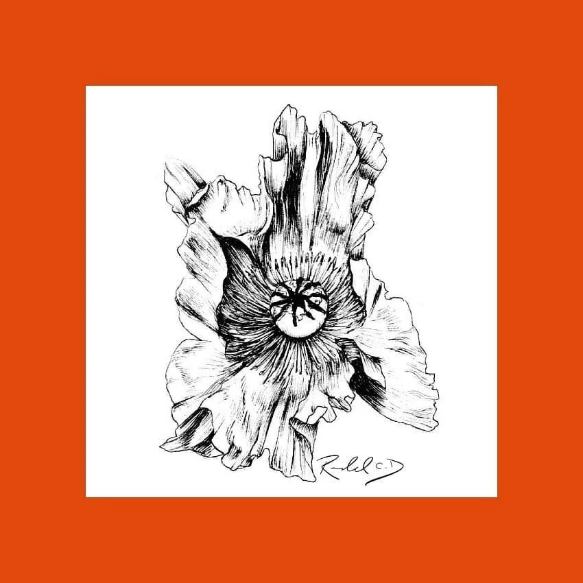 #100daysofart challenge!  Here is day 54 referenced from @arti_bloemen_fotografie
.
.
.
.
.
.
#flowers #florals #art #instaart #artofinstagram #ink #sketch #drawing #100daysofchallenge #100days #challenge #traditionalart #instaart #flower #daytwo #fl