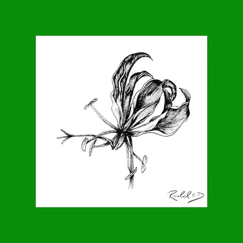 #100daysofart challenge!  Here is day 56 referenced from @richardoverdijk
.
.
.
.
.
.
#flowers #florals #art #instaart #artofinstagram #ink #sketch #drawing #100daysofchallenge #100days #challenge #traditionalart #instaart #flower #daytwo #flowerpowe