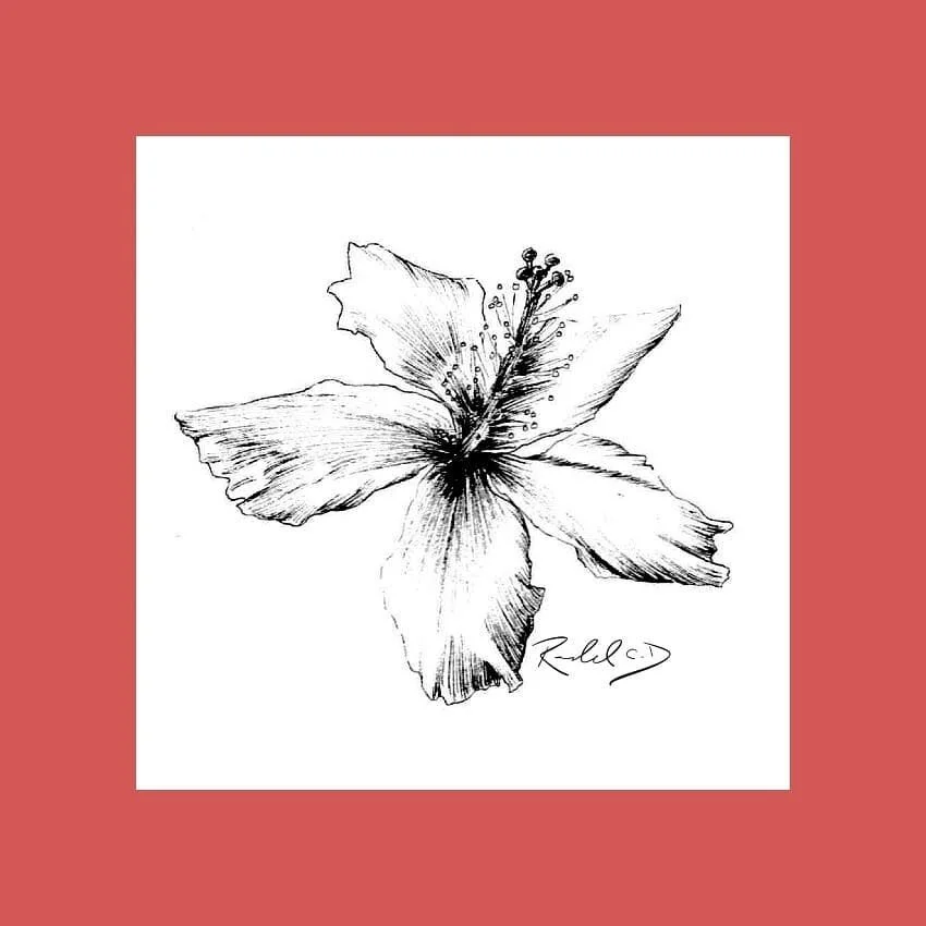 #100daysofart challenge!  Here is day 57 referenced from @francisunson
.
.
.
.
.
.
#flowers #florals #art #instaart #artofinstagram #ink #sketch #drawing #100daysofchallenge #100days #challenge #traditionalart #instaart #flower #daytwo #flowerpower #