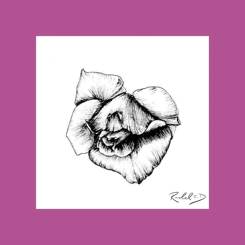 #100daysofart challenge!  Here is day 58 referenced from @world_pretty_nature
.
.
.
.
.
.
#flowers #florals #art #instaart #artofinstagram #ink #sketch #drawing #100daysofchallenge #100days #challenge #traditionalart #instaart #flower #daytwo #flower