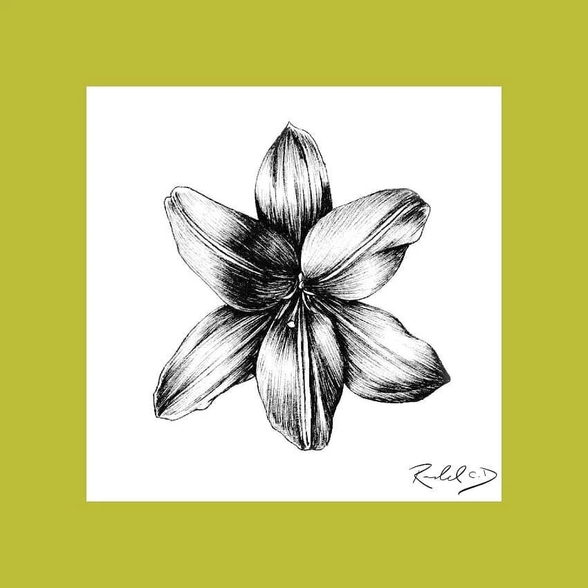 #100daysofart challenge!  Here is day 61 referenced from @sarahmanciniphotographer
.
.
.
.
.
.
#flowers #florals #art #instaart #artofinstagram #ink #sketch #drawing #100daysofchallenge #100days #challenge #traditionalart #instaart #flower #daytwo #f