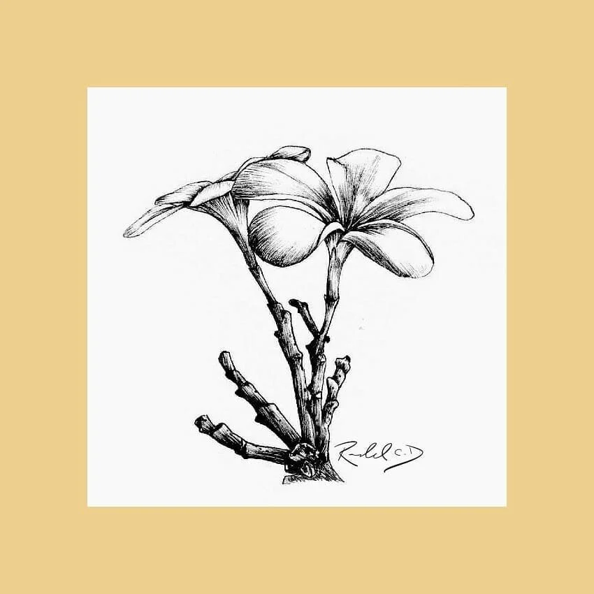 #100daysofart challenge!  Here is day 62 referenced from @photo_mentalist
.
.
.
.
.
.
#flowers #florals #art #instaart #artofinstagram #ink #sketch #drawing #100daysofchallenge #100days #challenge #traditionalart #instaart #flower #daytwo #flowerpowe