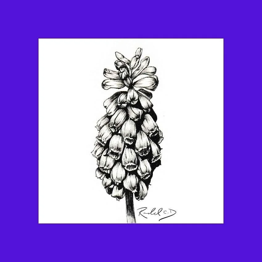 #100daysofart challenge!  Here is day 63 referenced from @artphotopro1
.
.
.
.
.
.
#flowers #florals #art #instaart #artofinstagram #ink #sketch #drawing #100daysofchallenge #100days #challenge #traditionalart #instaart #flower #daytwo #flowerpower #