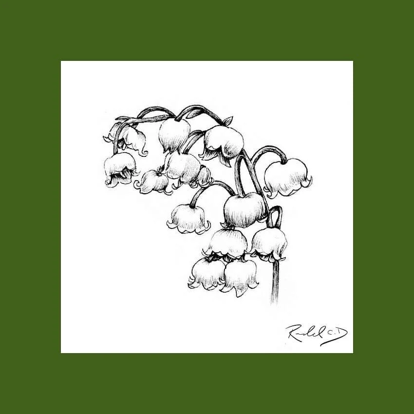 #100daysofart challenge!  Here is day 64 referenced from @adesellars
.
.
.
.
.
.
#flowers #florals #art #instaart #artofinstagram #ink #sketch #drawing #100daysofchallenge #100days #challenge #traditionalart #instaart #flower #daytwo #flowerpower #fl