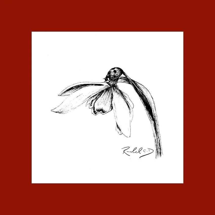 #100daysofart challenge!  Here is day 65 referenced from @selfraising_flowers
.
.
.
.
.
.
#flowers #florals #art #instaart #artofinstagram #ink #sketch #drawing #100daysofchallenge #100days #challenge #traditionalart #instaart #flower #daytwo #flower