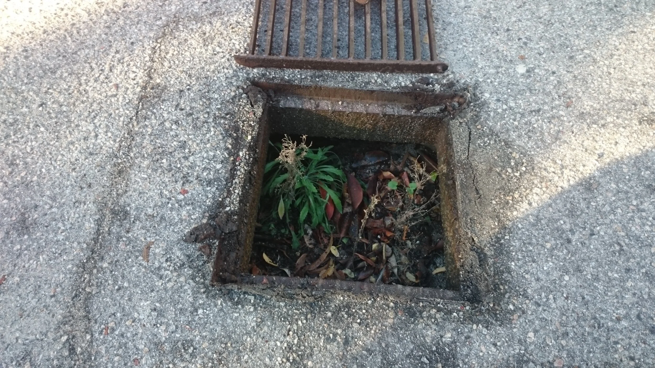 Drain Eduction - Before.JPG