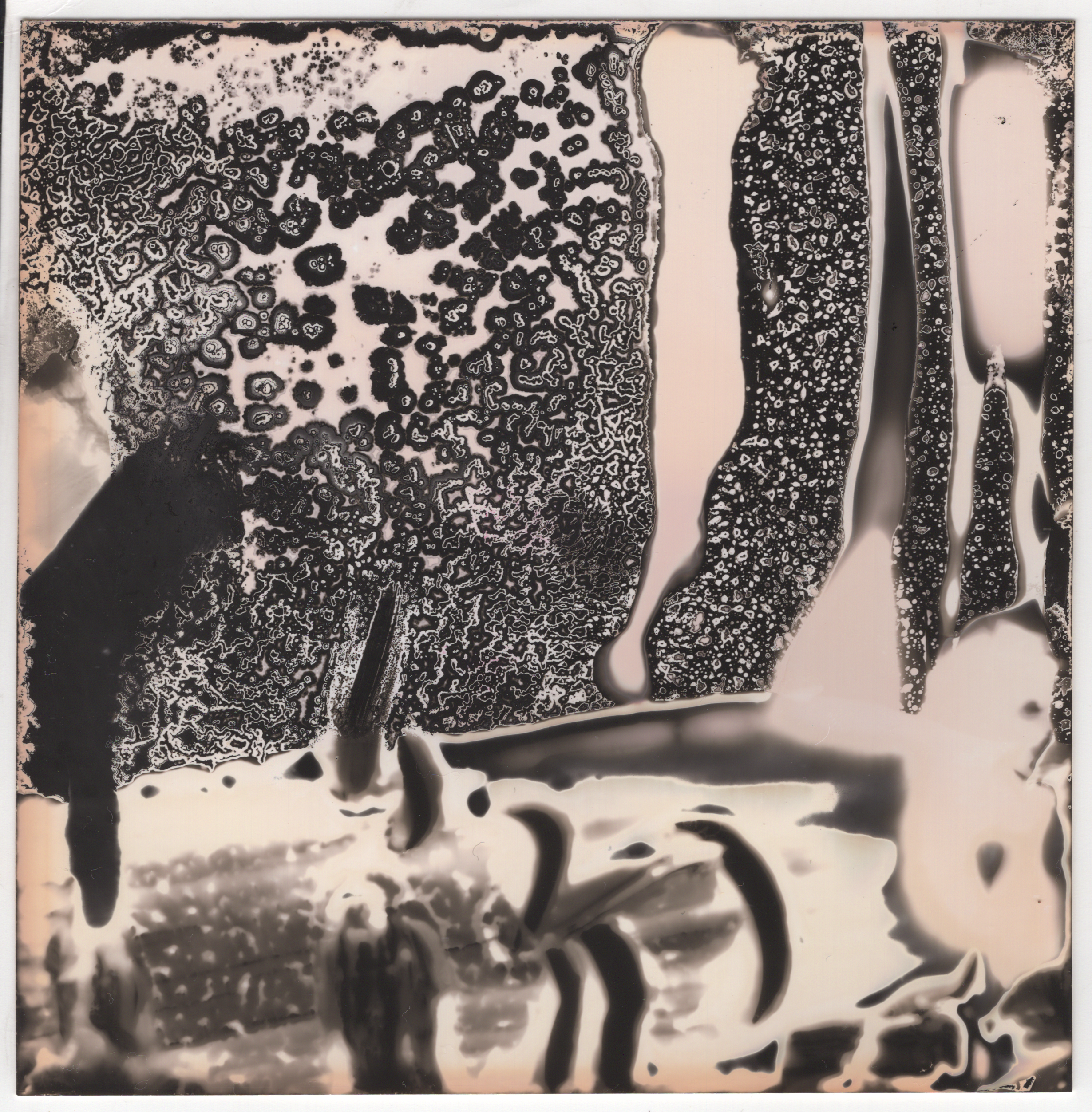 chemogram 2-1-quick-export.png