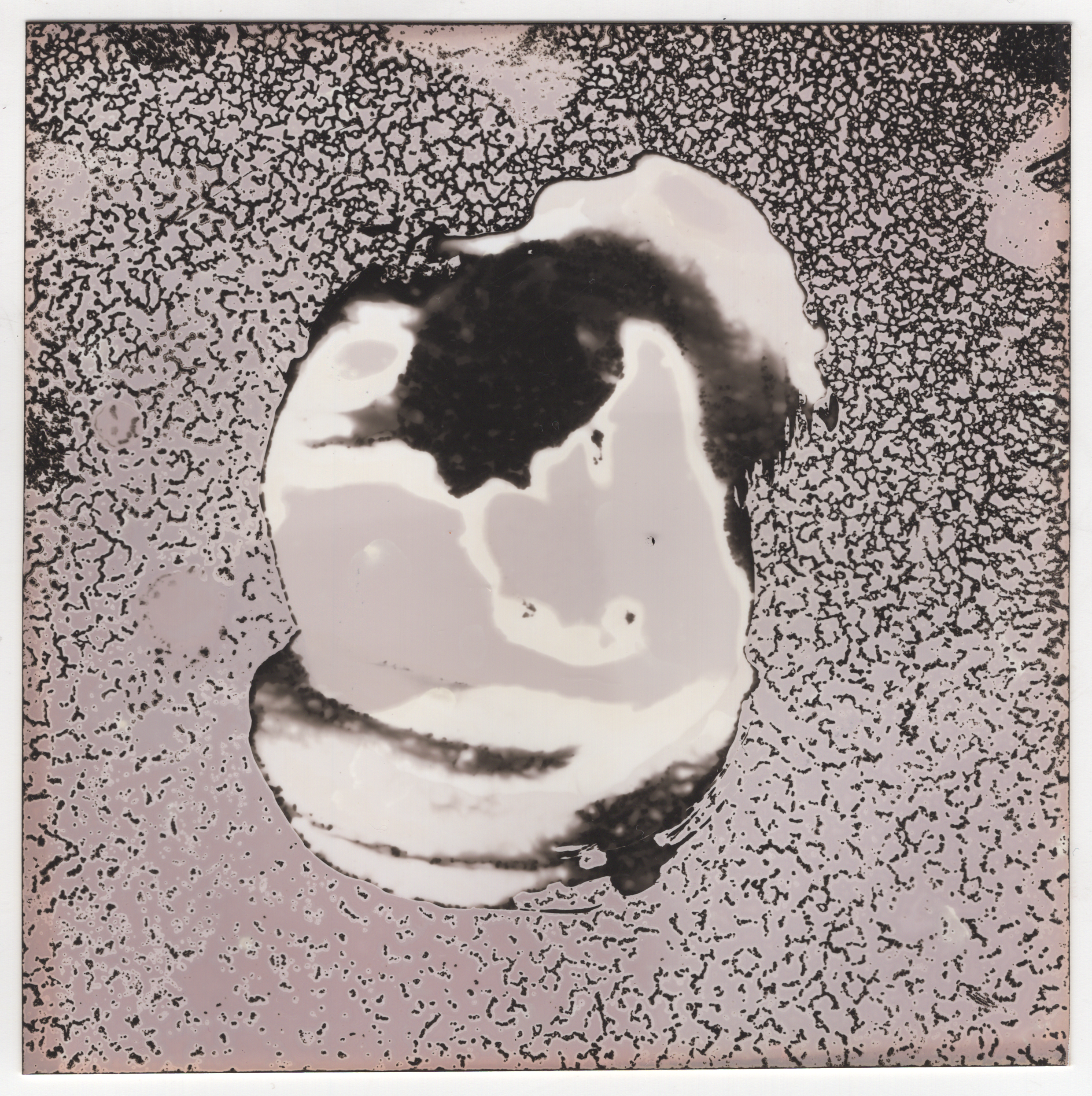 chemogram 2-2-quick-export.png