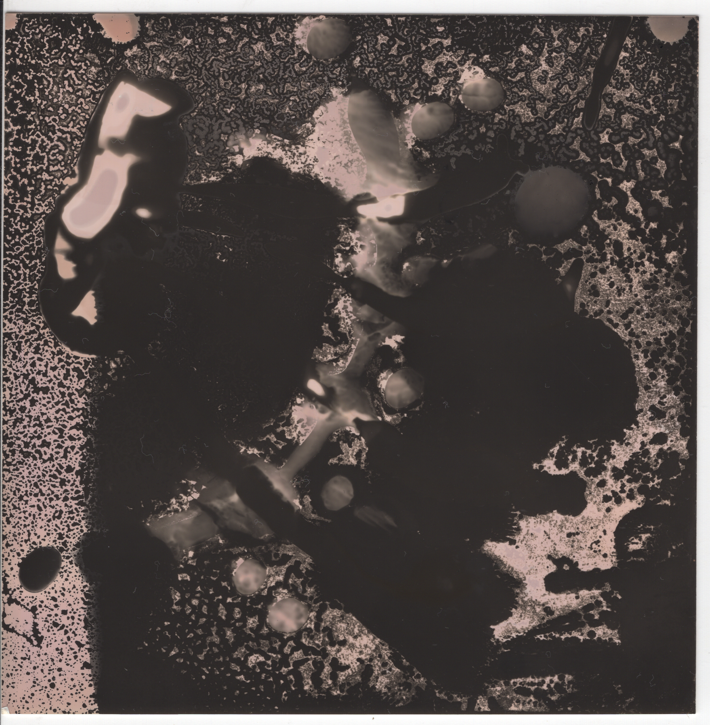 chemogram 3-1-quick-export.png