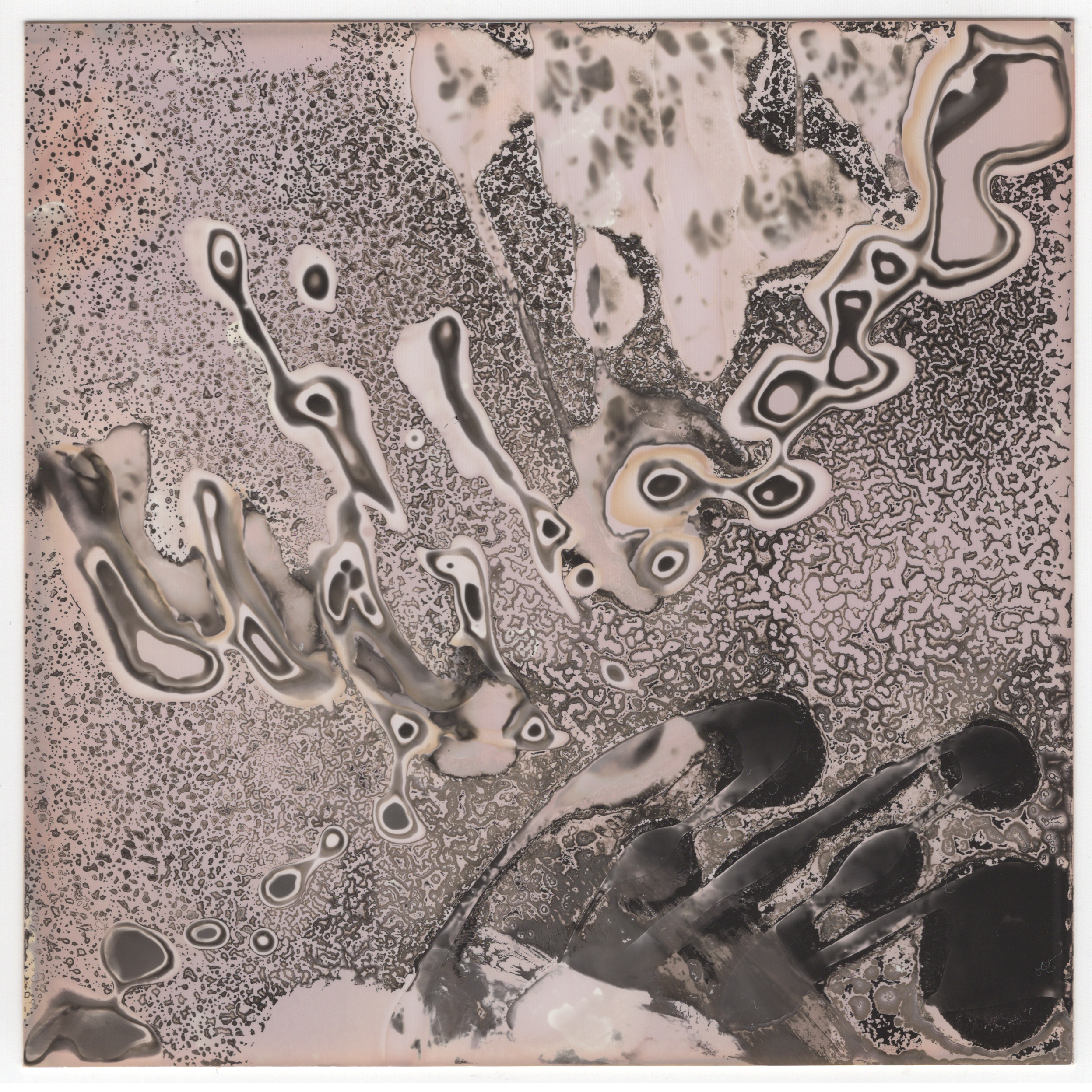 chemogram 3-4-quick-export.png