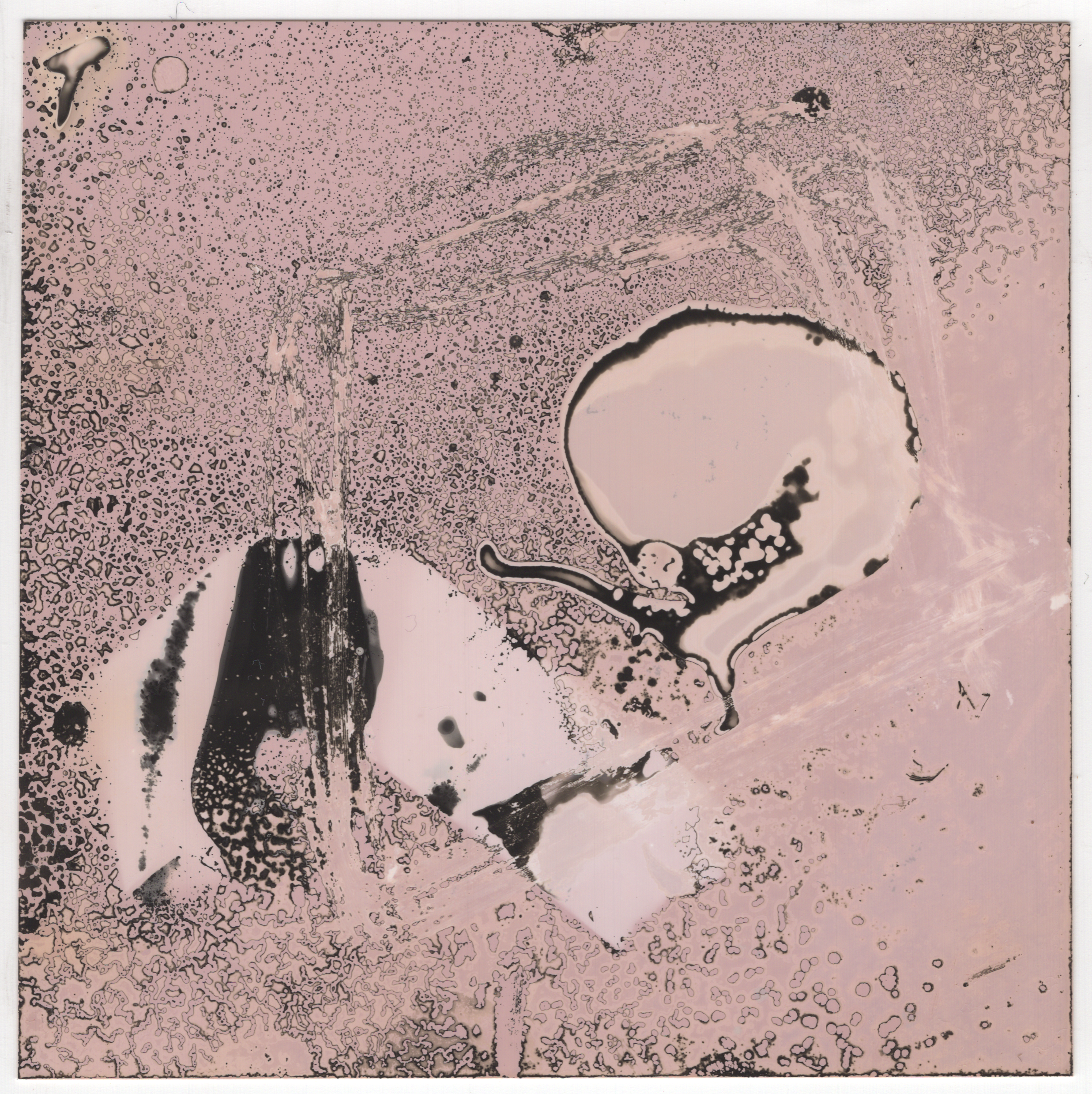 chemogram 4-1-quick-export.png