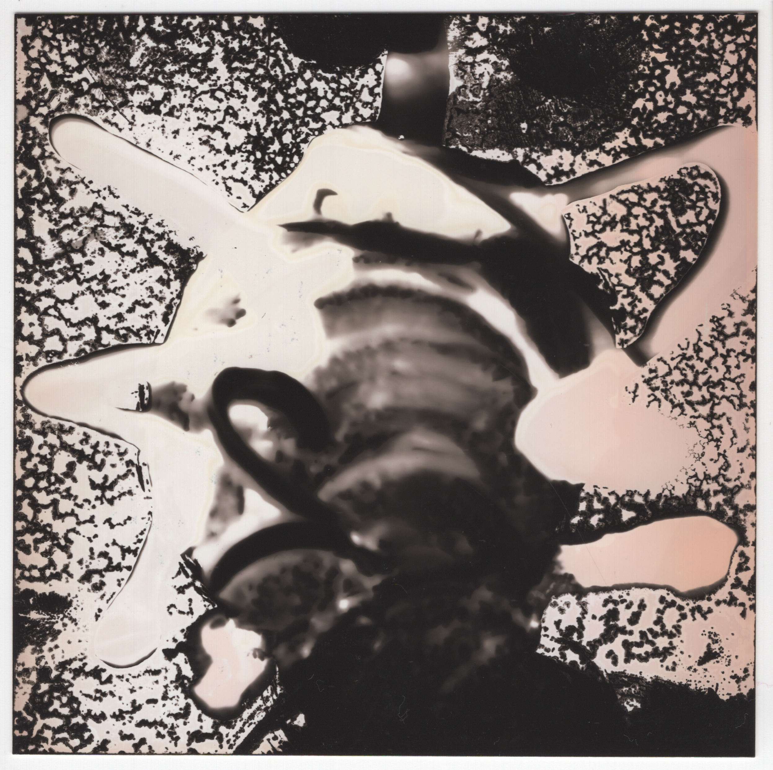 chemogram 4-3-quick-export.png