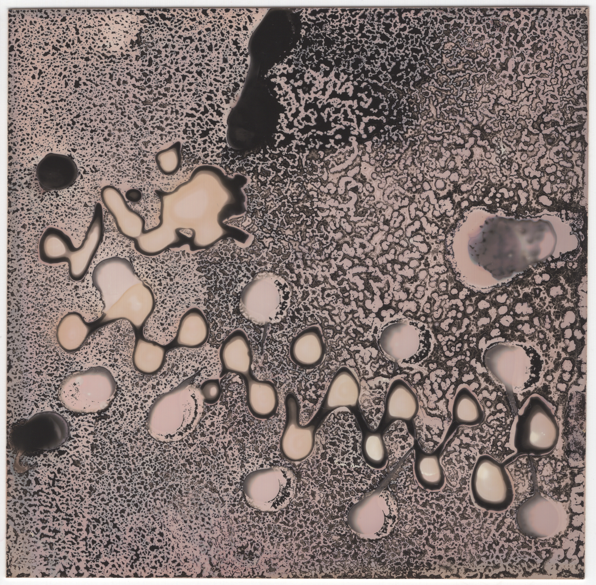 chemogram 4-4-quick-export.png