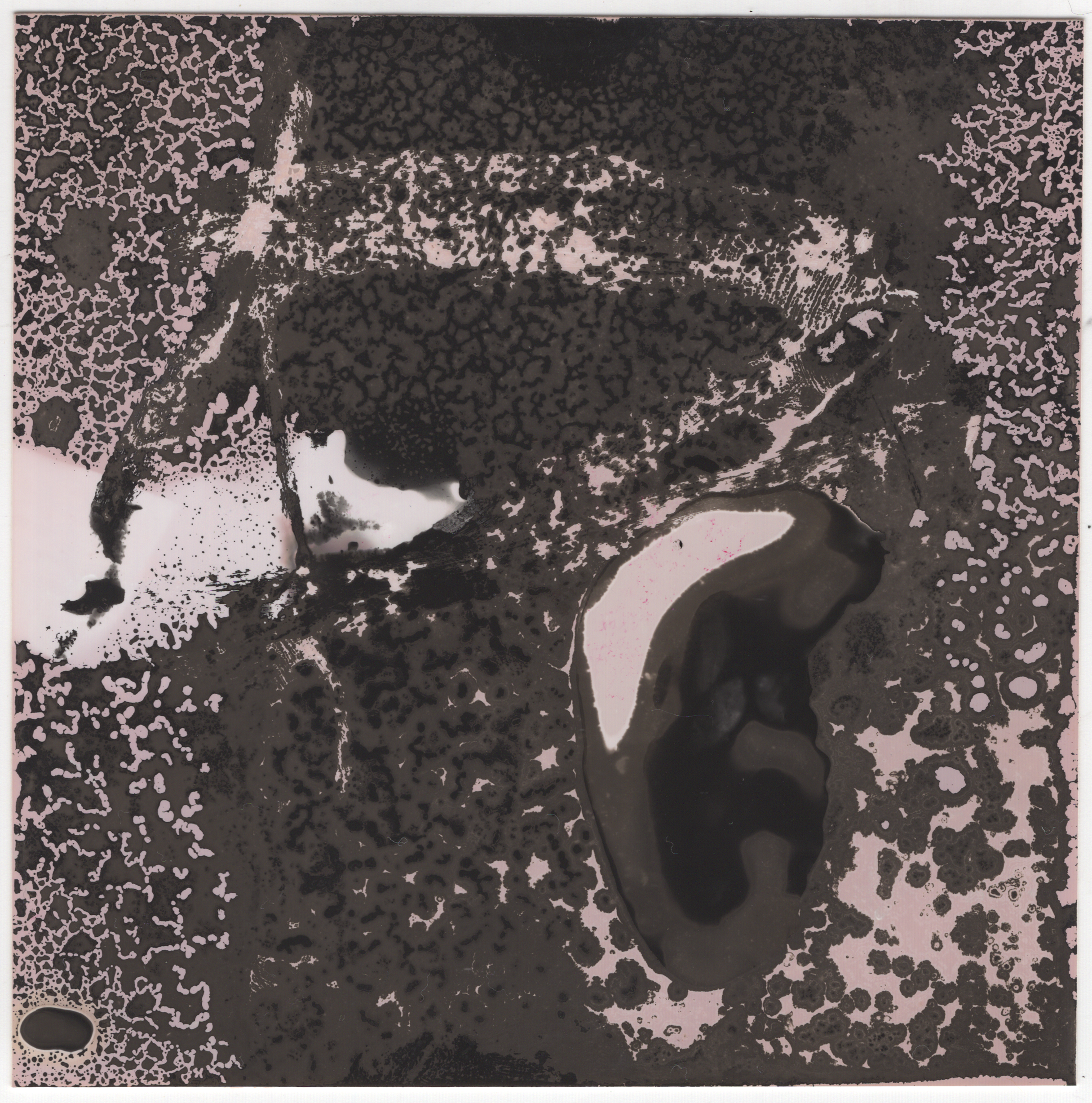 chemogram 5-2-quick-export.png