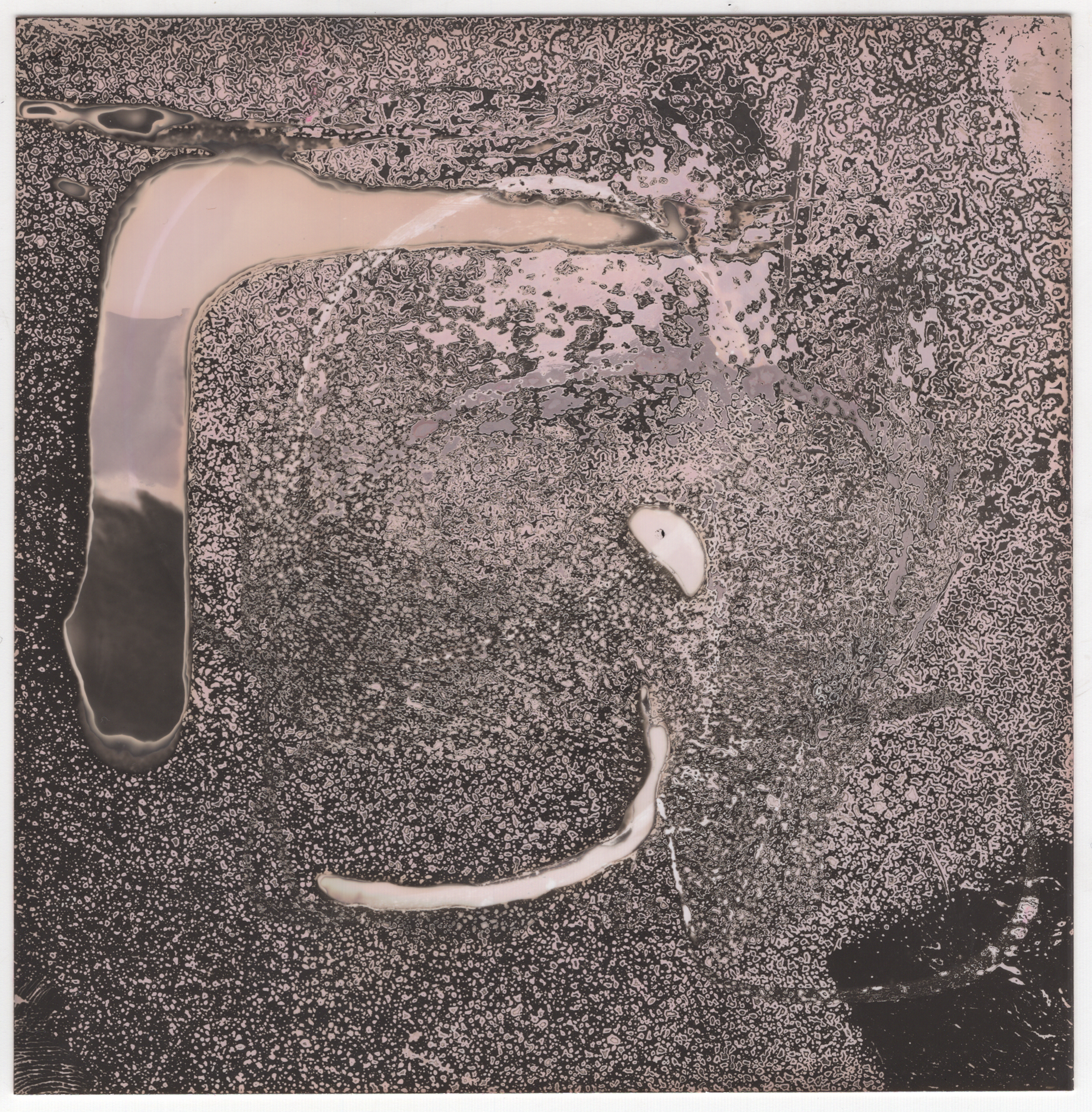 chemogram 6-2-quick-=export.png