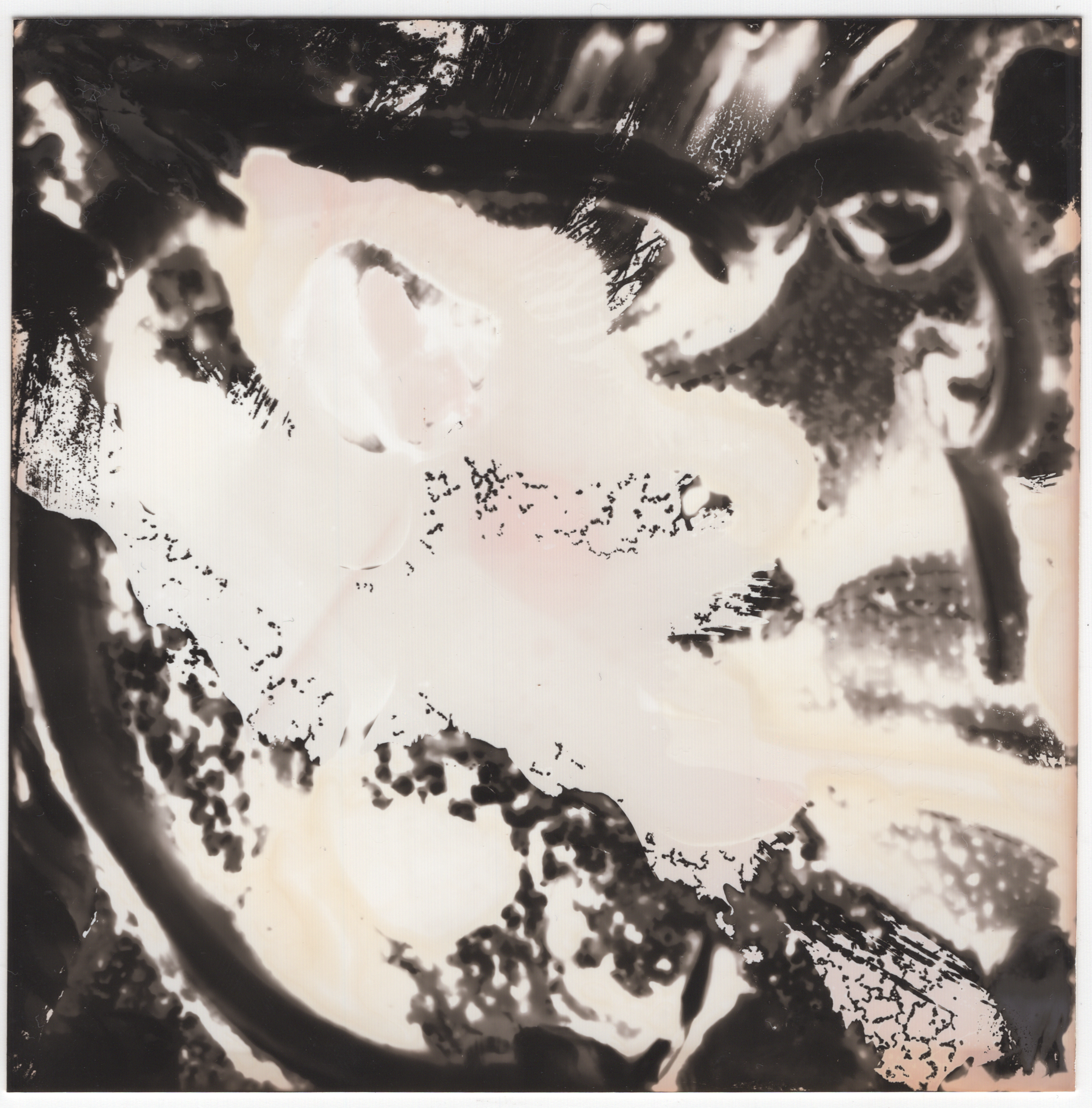 chemogram 6-4-quick-export.png