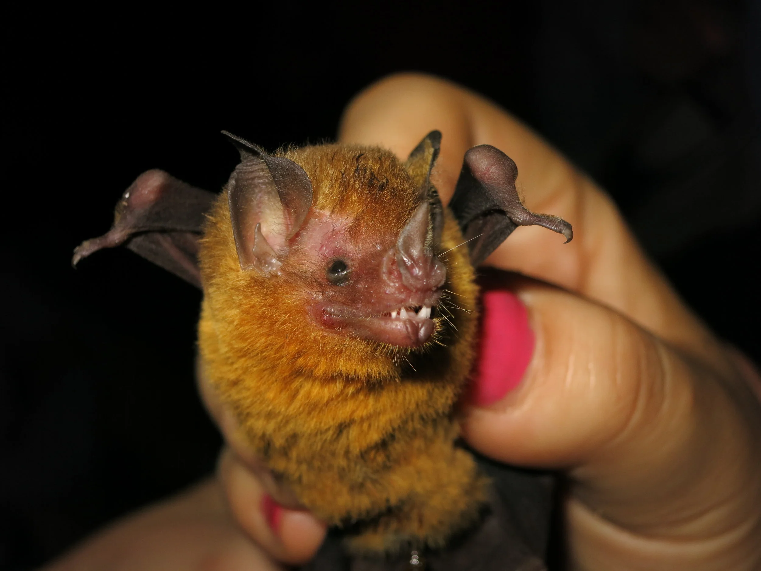 Five things I learned in my academic job search that might help you too