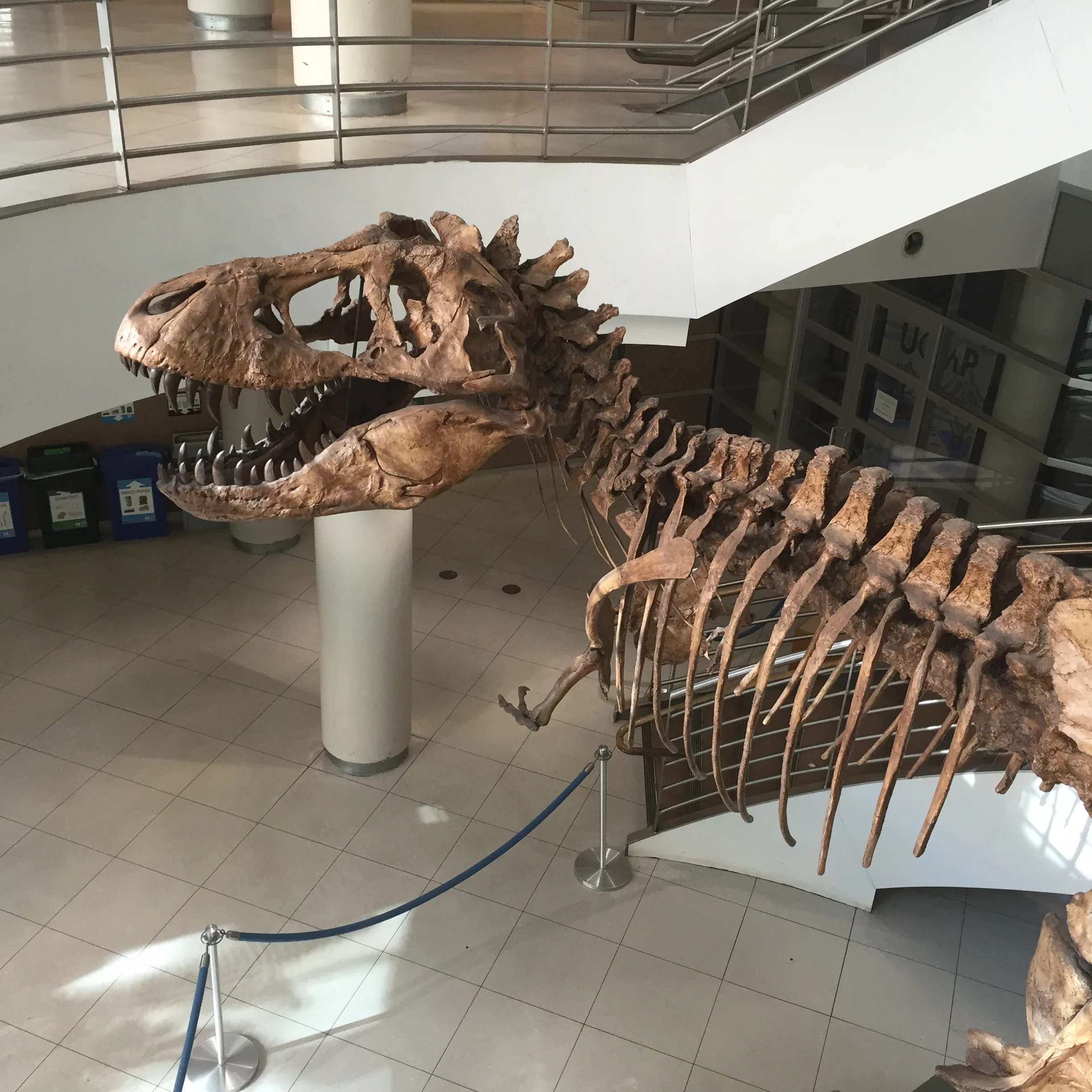 Components of a great writing routine