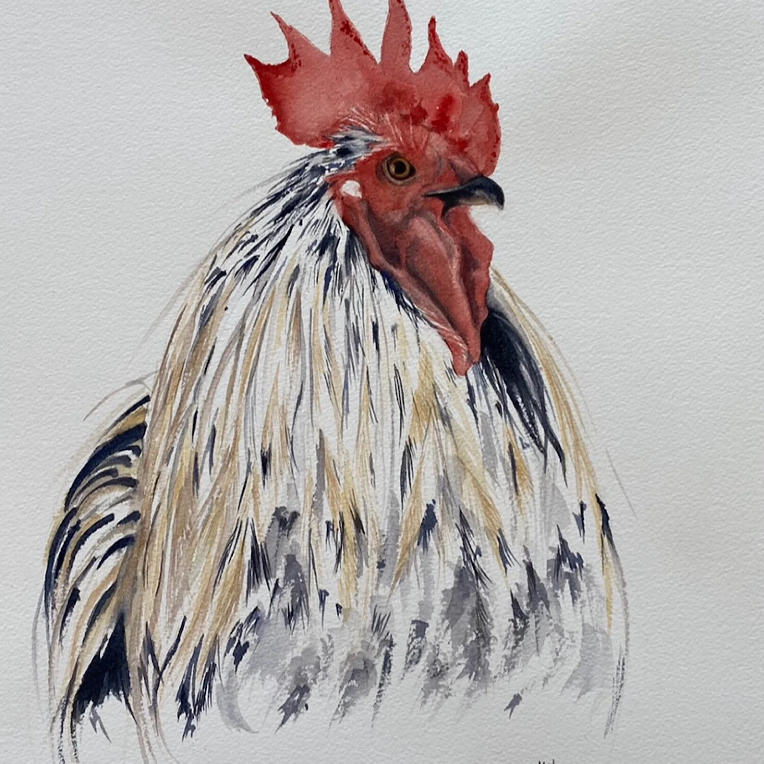 8DC97A4D-DA4E-4DC3-9815-AF4A0ECA80DD