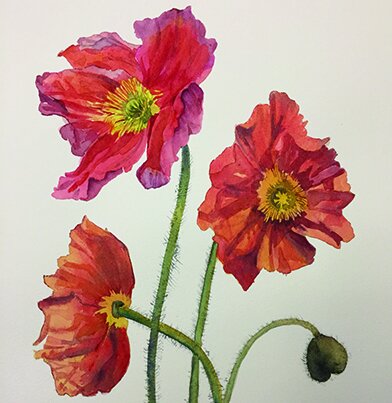 Glynis Brown