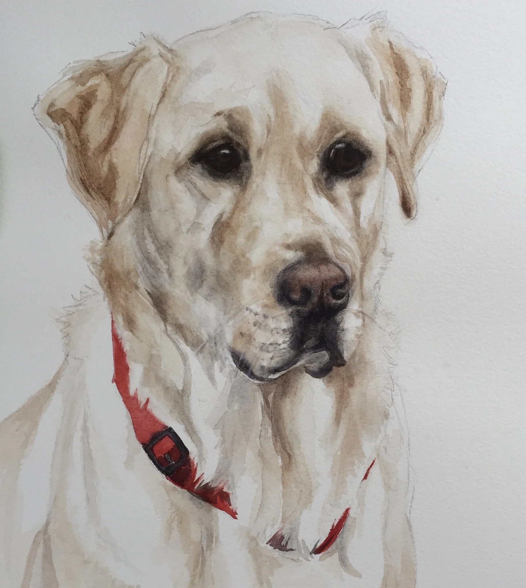 50B53A49-4BA3-4F09-8B2D-C3B3535DFA6F