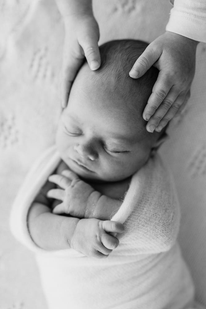 Newborn photography South East Melbourne &amp; Mornington Peninsula