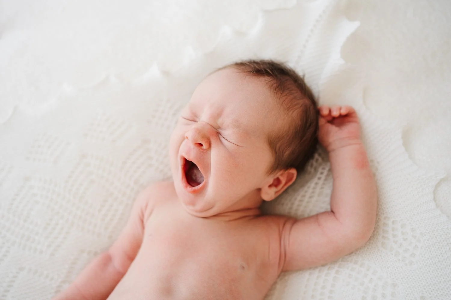 best newborn baby photographer melbourne (Copy)