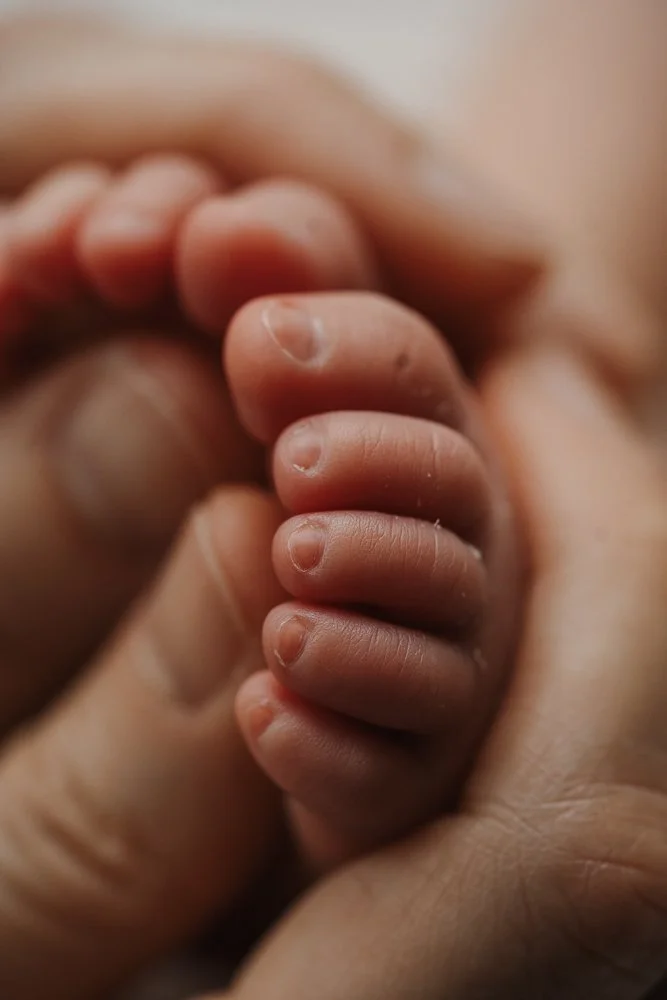 Best Melbourne Newborn Baby Photographer