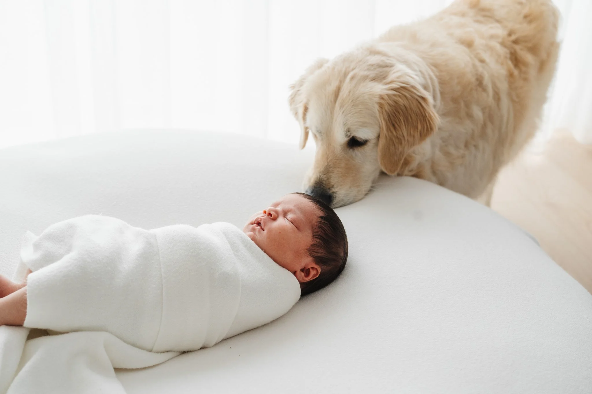 BabyKaitlyn_0096_websize.JPG