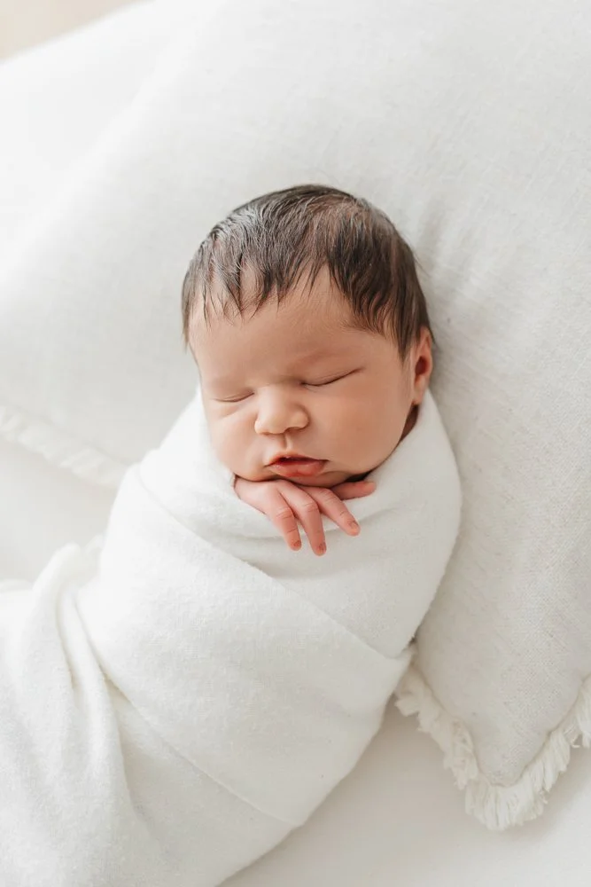 best newborn photographer melbourne