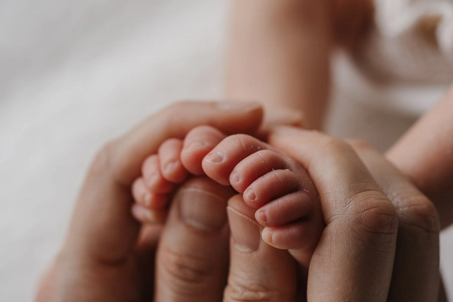 asian newborn photographer melbourne