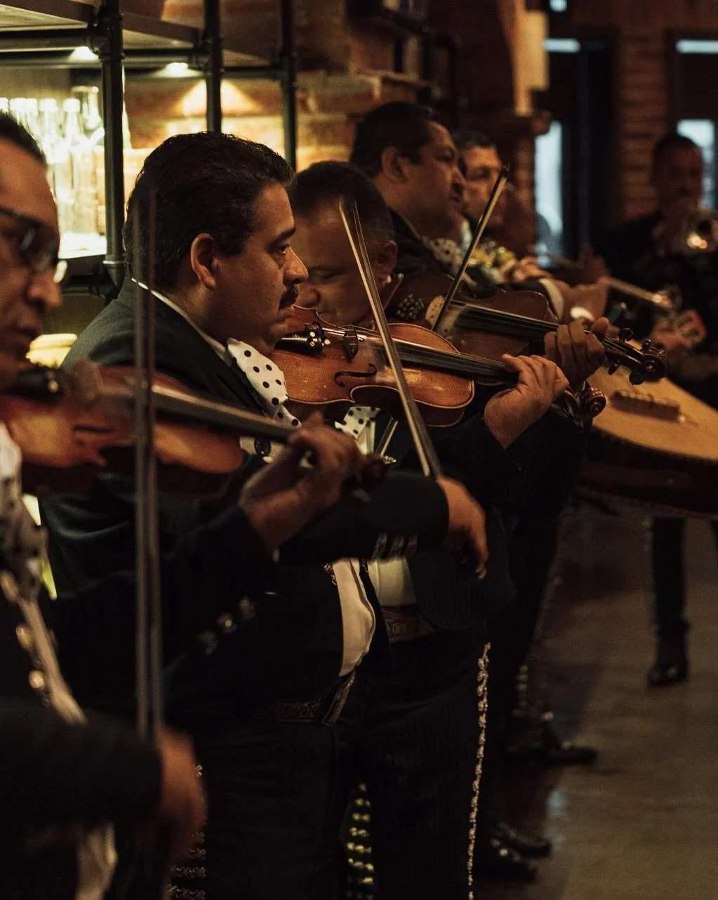 Gratitud a la tierra que nos vio nacer 🌱
Honramos la historia de quienes nos precedieron y celebramos la diversidad que nos une.
Hoy gritamos con orgullo: &iexcl;Viva M&eacute;xico! 🇲🇽✨