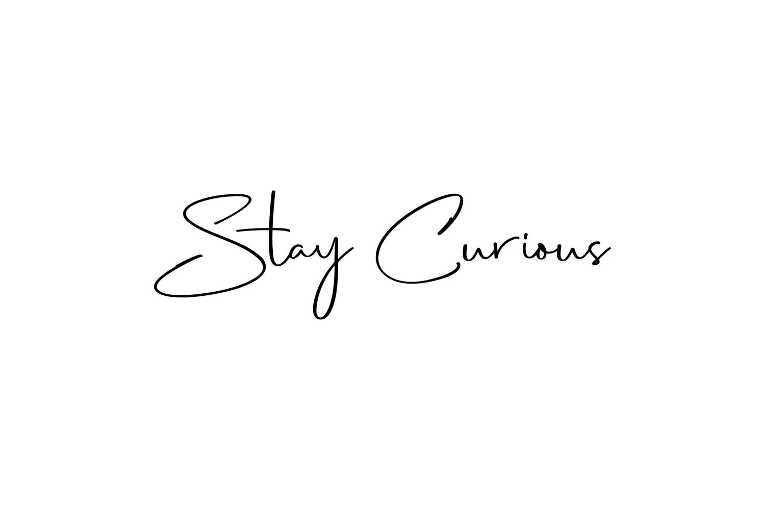 Stay Curious NZ
