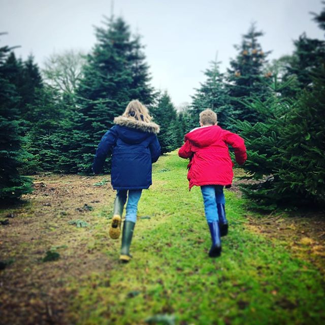 Thank you to all our lovely customers today, hope you&rsquo;re all having fun tinsel-ing, bauble-ing and twinkling up your beautiful trees! #herefordshirecountryside #herefordshirecountrylife #christmastree🎄 #christmastreephotos #mistletoe #christma