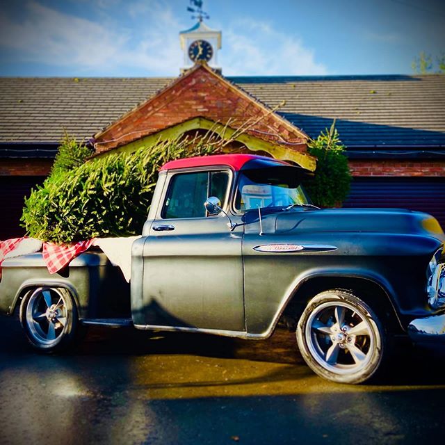 Deliveries have officially started..... we have been cutting some huge trees for @royal_welsh_show Winter Fair. We wish all our tree deliveries looked as good as this! We had a visit from this gorgeous vintage Chevrolet today and couldn&rsquo;t resis