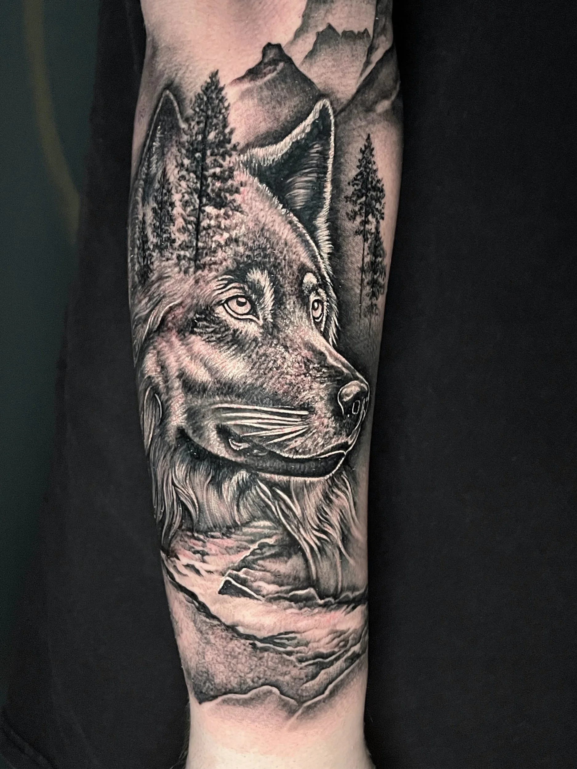 Wolf Tattoo