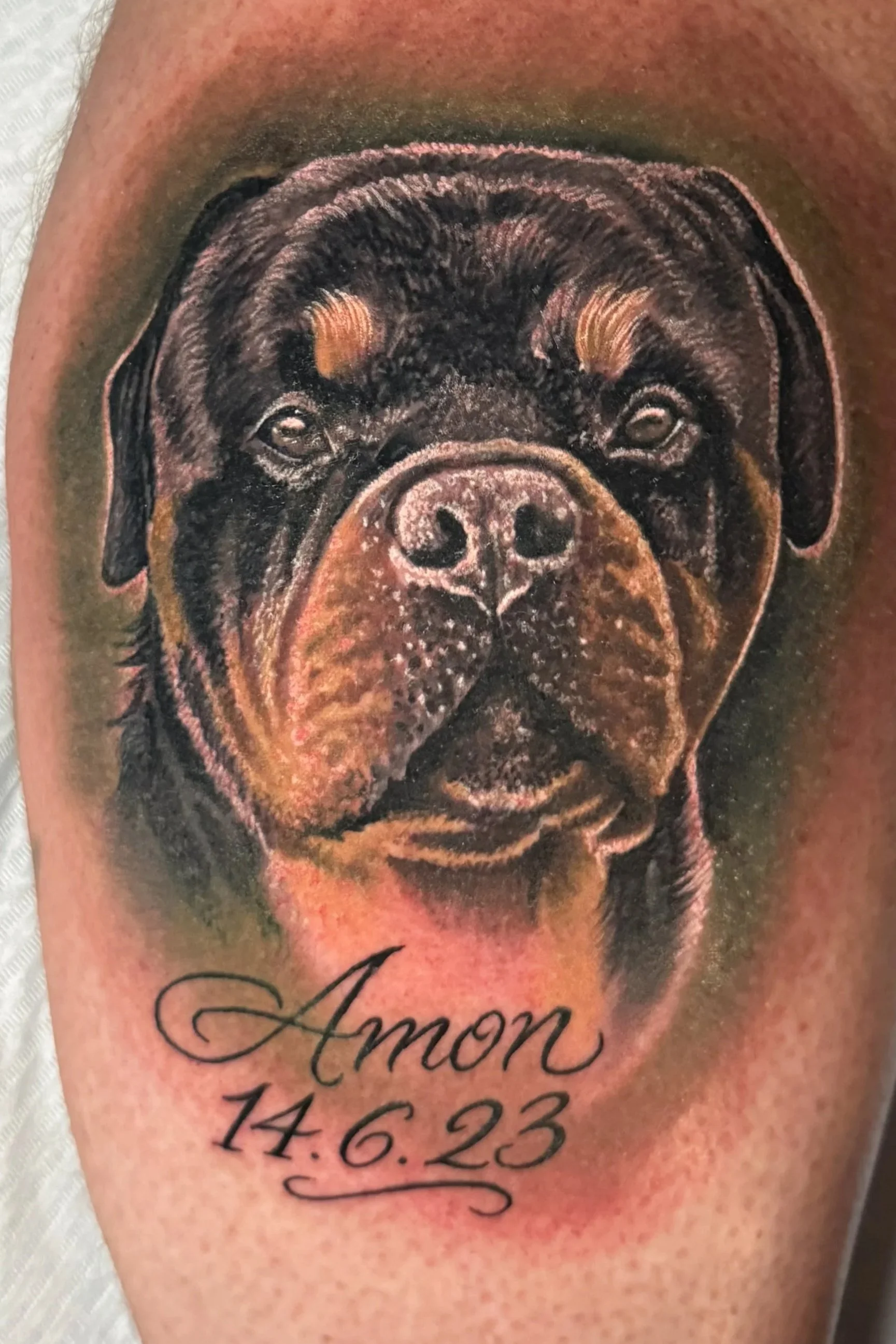 Hunde Portrait Tattoo 