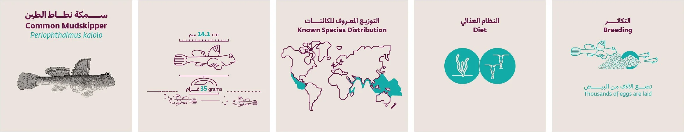 species-47.jpg