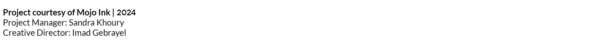 Screen Shot 2024-03-21 at 12.00.53 PM.png