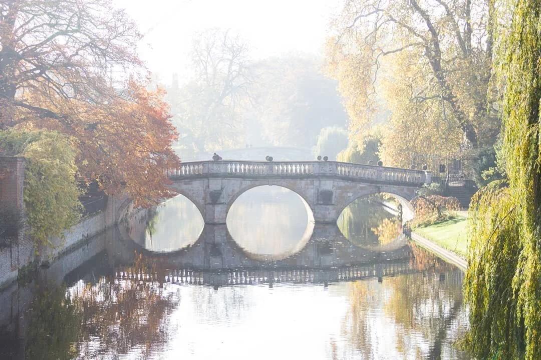 Autumn reflections 🍂