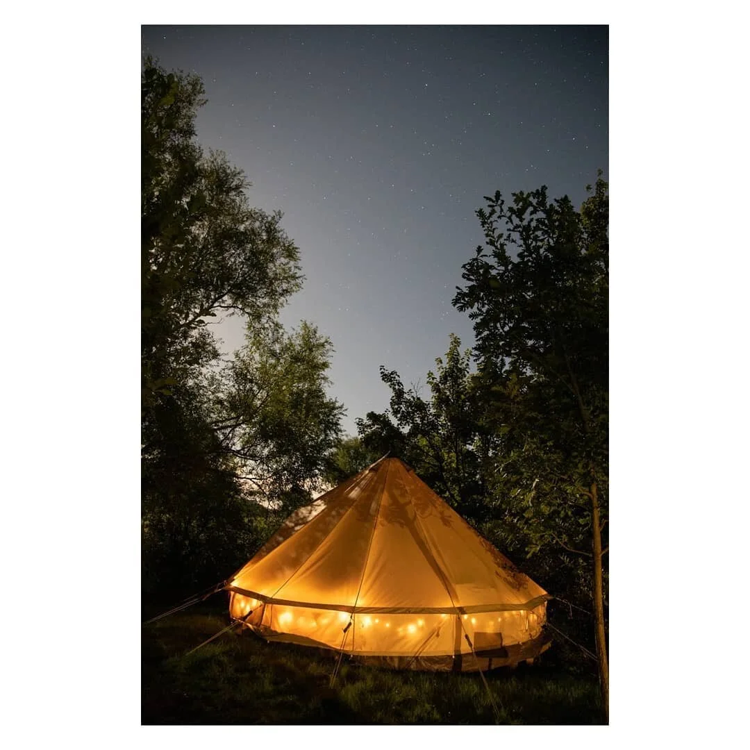 Dreamy setups and starry skies 🌌

✂️--------------------------------------------

#stayandwonder #exploretocreate #visualsofnature #visualsoflife #exploremore #thewanderco #glamping #setup #dreamy #starrynight
