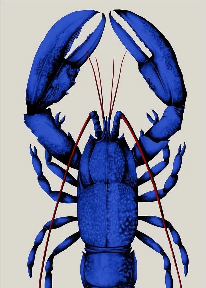 Barbara Perry        "Homard Klein"