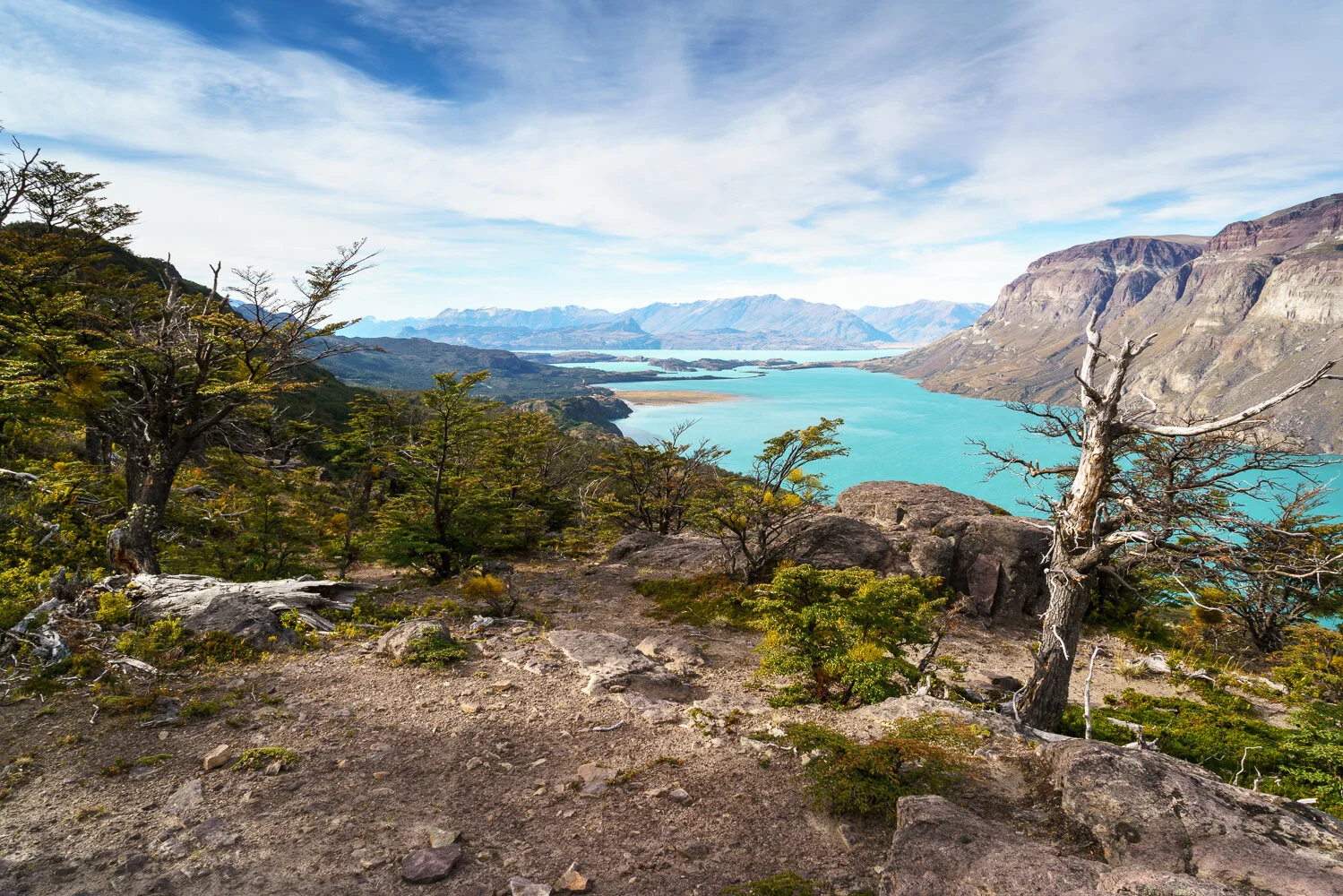 View over Lago San Martin