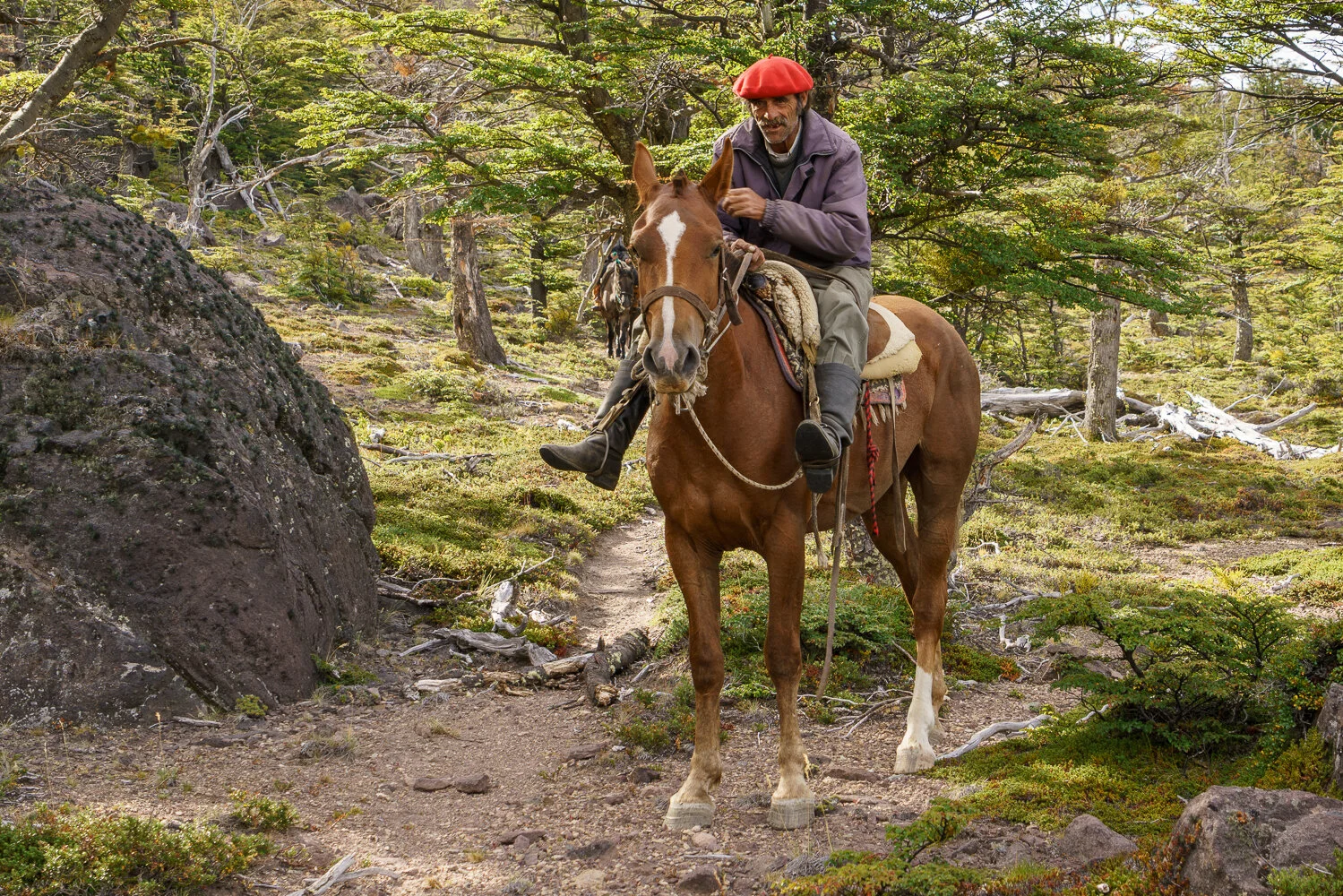  Patagonia 2016 
