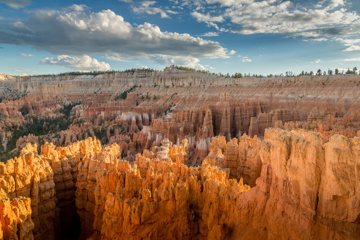 Bryce Canyon at sunset