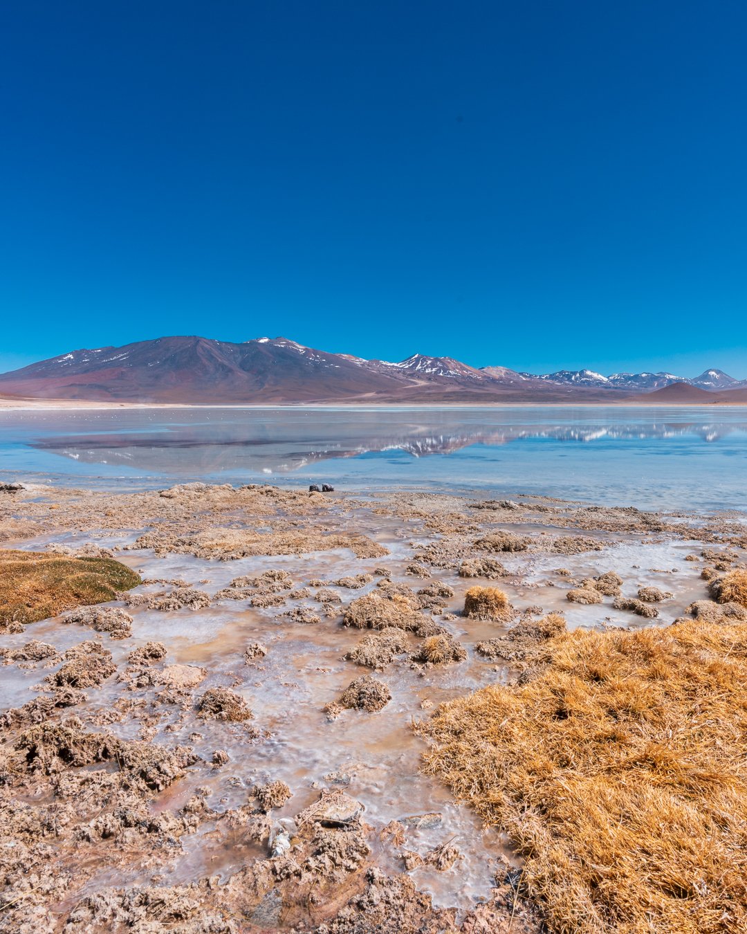 Twin Jewels of the Altiplano: Laguna Blanca &amp; Laguna Verde.