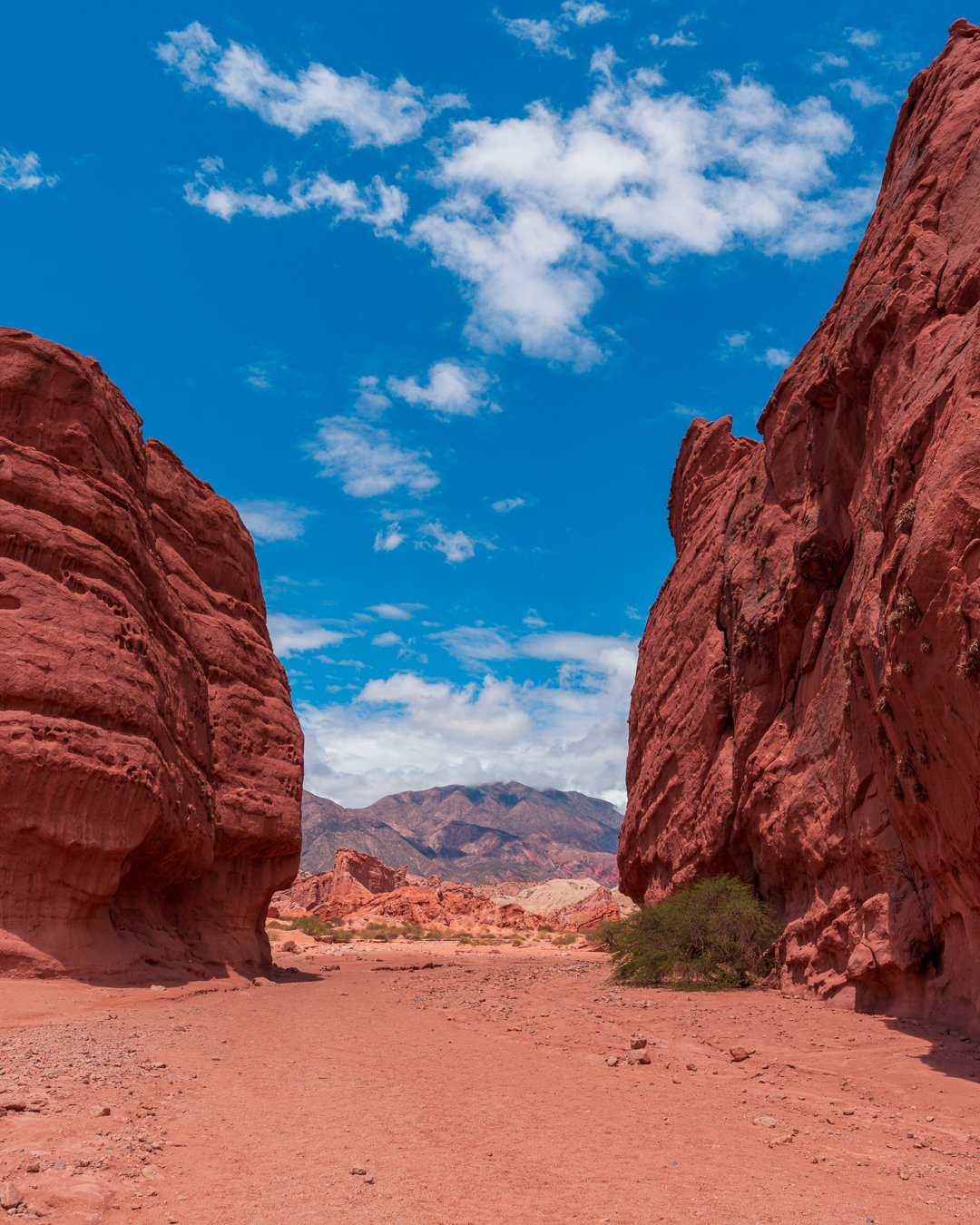 Through the Red Canyons of Quebrada de las Conchas. #quebradadelasconchas #ruta68 #argentina🇦🇷 #southamerica #bocklet
#iveco
#ivecocampervans 
#ivecodaily4x4
#daily4x4
#customcamper
#overland
#overlander
#offroad
#outdoor
#roadtrip
#lifeofadventure