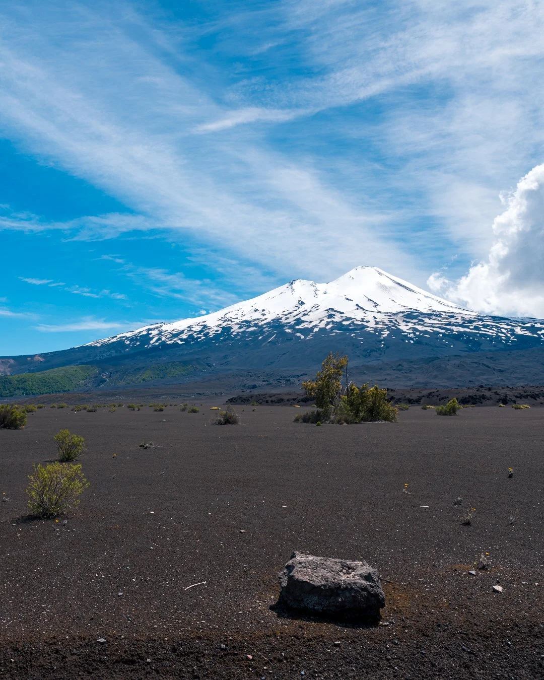 Araucarias &amp; Volcanoes: A Journey Through Conguill&iacute;o National Park. #parqueconguillio #conguillionationalpark #volcanllaima #araucariaforest #chile🇨🇱 #southamerica #bocklet
#iveco
#ivecodaily4x4 
#daily4x4
#customcamper
#overland
#overla