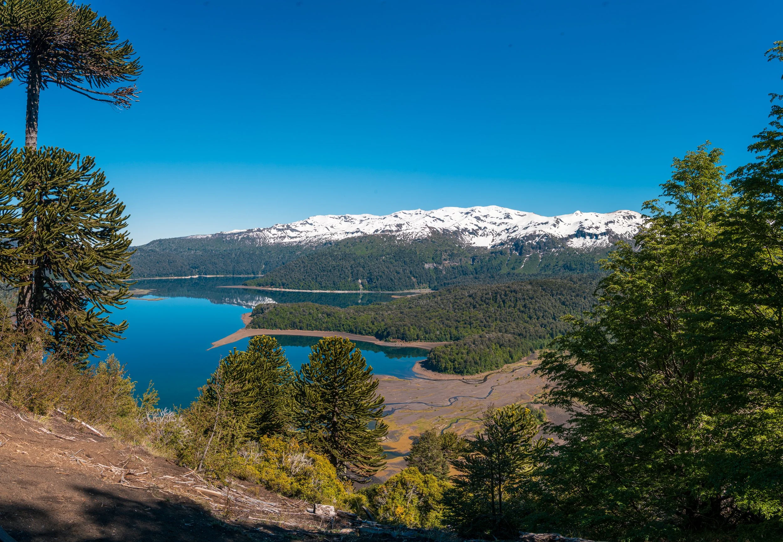 RJ_251114_08384-Pano.jpg